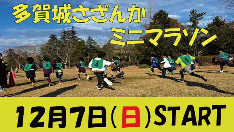 多賀城さざんかミニマラソン